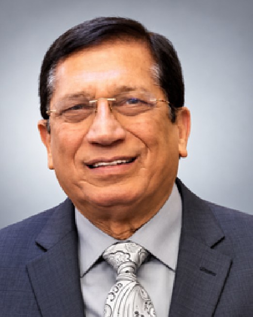 Lion Gulshan Sethi
