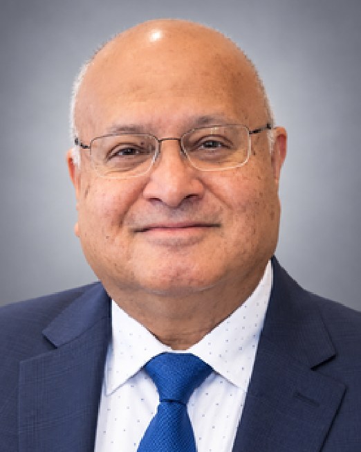 Lion Dinesh Virmani