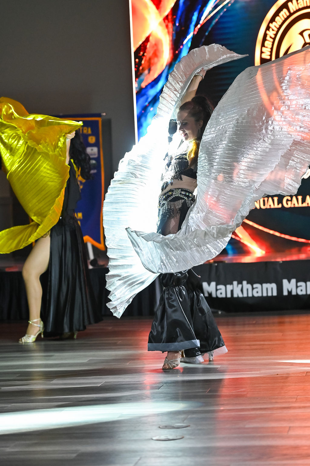 Markham Mantra Lions Club event photo